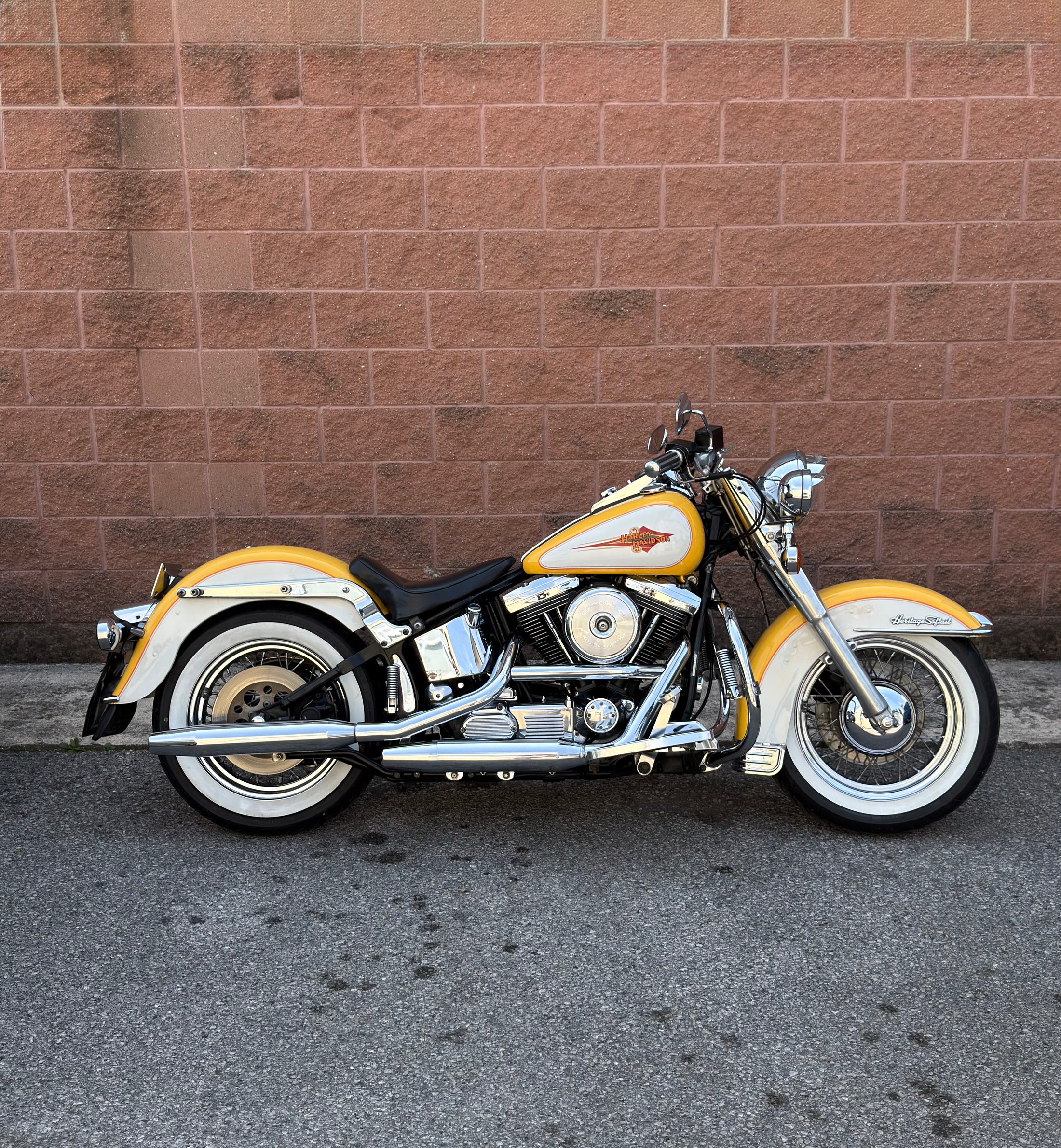 PMO Racing Harley-Davidson